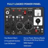 DuroMax DS12000EH 12,000 Watt Dual Fuel Portable Generators